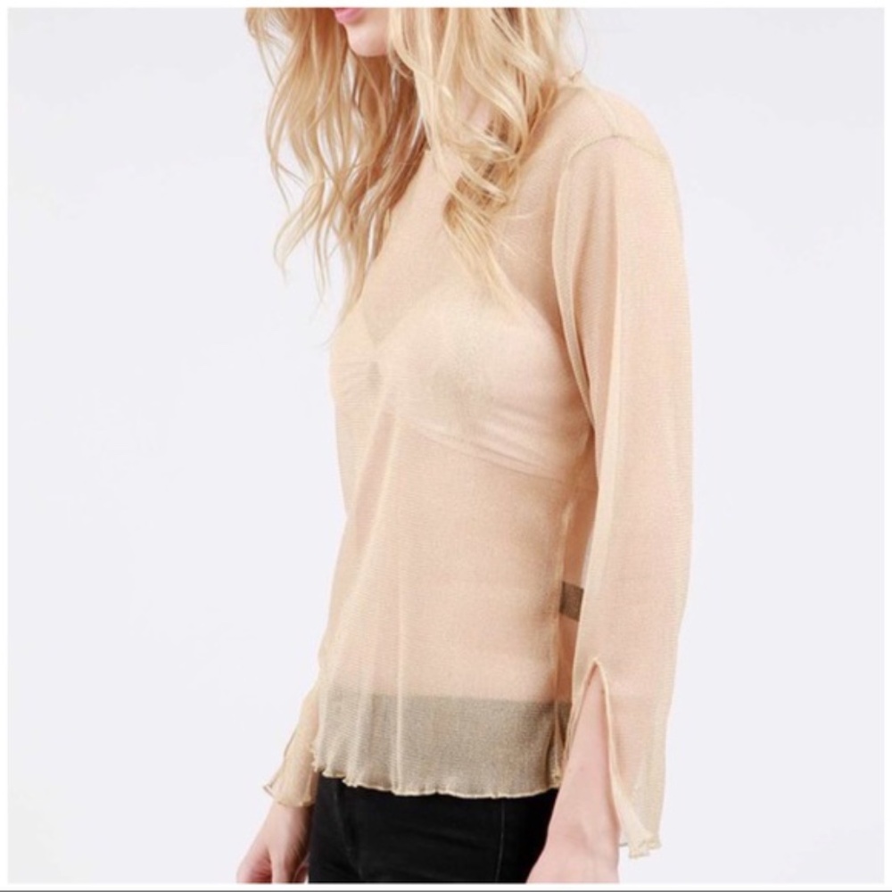 POL Brand~Shimmer Gold Sheer Blouse